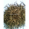 2014 New Crop High Purity Moso Bamboo seeds For Planting